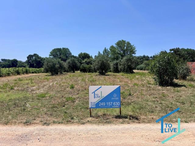 Terreno Rústico com 3.720 m2 – Próximo da Cidade de Tomar