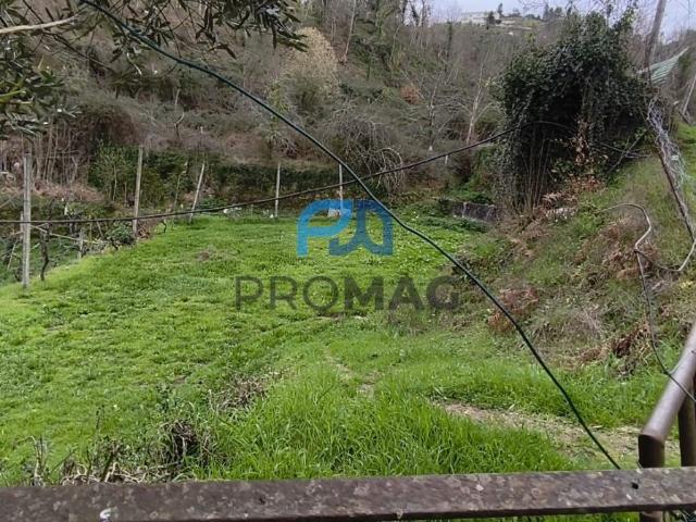 Terreno Rústico com 3.877 m² – Vistas Rio e Serra
