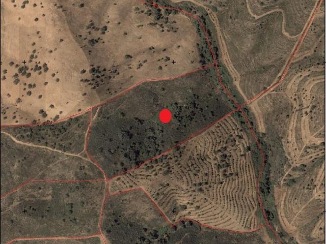 Terreno Rústico com 3,8 Hectares – Santana da Serra