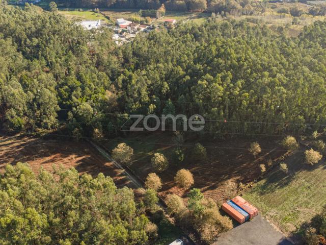Terreno Rústico com 3.930 m2 na Carvalhosa, Paços de Ferreira