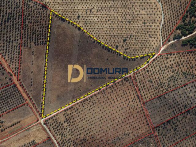 Terreno Rústico com 46.750 m² com viabilidade de construção localizado em Vila Boim – Elvas