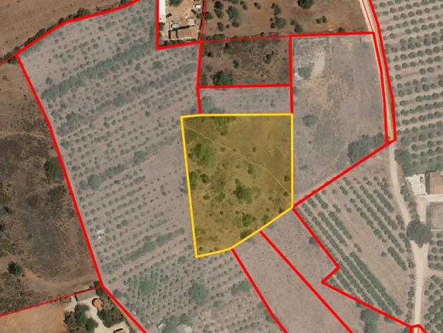 Terreno rústico com 4860 m2 situado nas Tinhosas