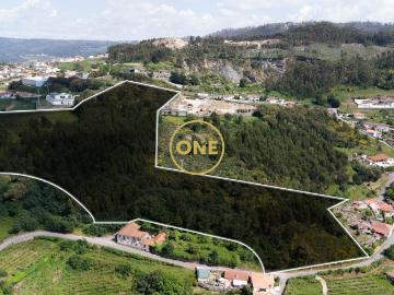 Terreno Rústico com 49.430,21 m2 em S.Tomé Negrelos