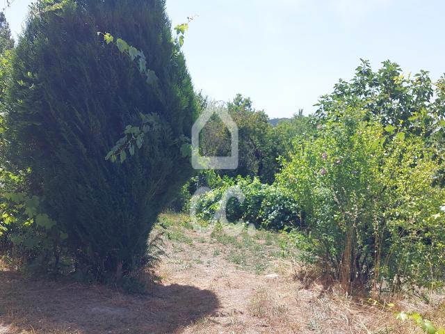 TERRENO RUSTICO COM 4100 M2 EM VOUZELA
