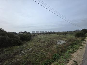 Terreno rústico com 4.080m2 Soudos, Torres Novas