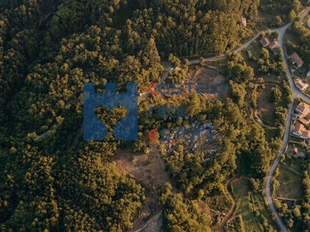Terreno Rústico com 4.333 m² em Boleiros, Fátima – Excelente Acesso e Envolvente Natural