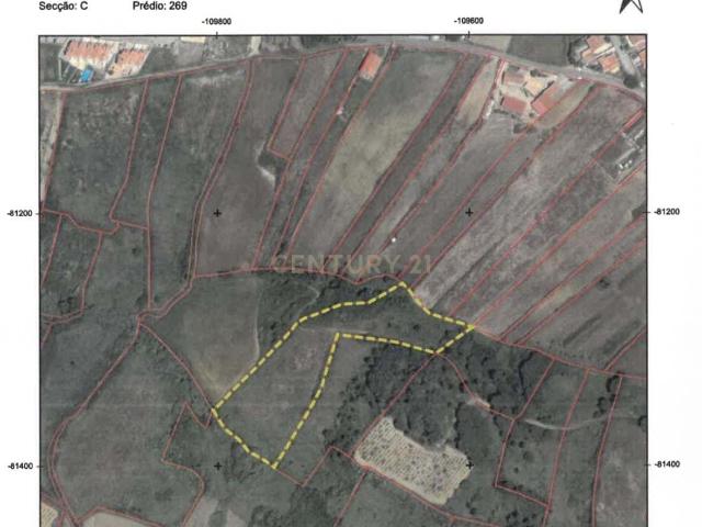 Terreno Rústico com 4.625 m² – Vista Mar – Baleia / Carvoeira Mafra