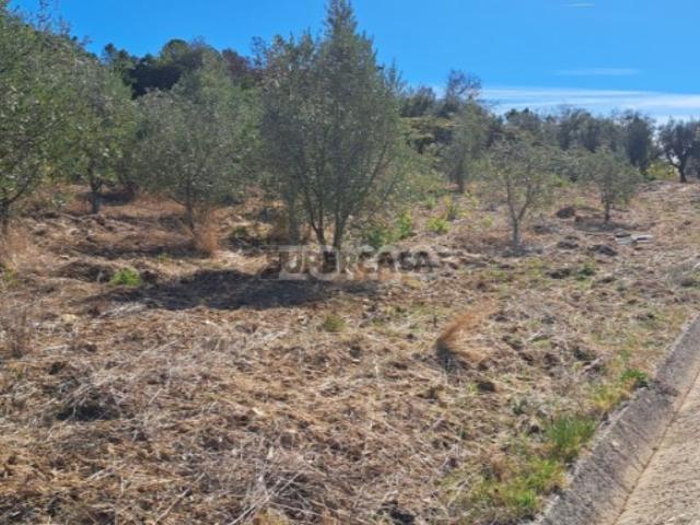 Terreno Rústico com 4.750 m²|EN110 |Almalaguês |Agrícola