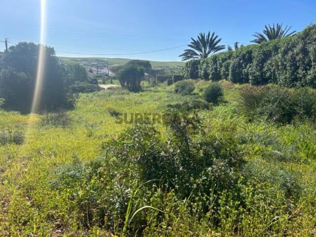 Terreno Rústico com 4.980 m² na Raposeira, Vila do Bispo