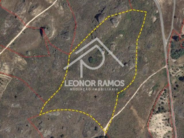 Terreno rústico com 4 hectares em plena natureza – Monsanto