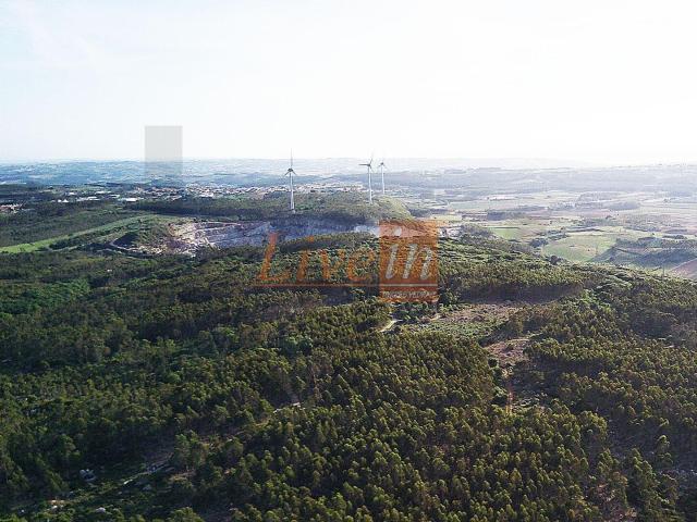 Terreno Rústico com 55680 m² na Lourinhã
