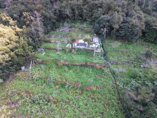 Terreno Rústico com 5603 M2 + Projeto Aprovado
