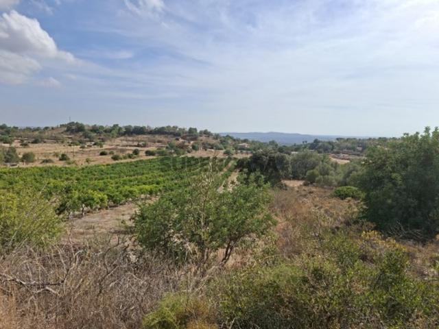 Terreno rústico com 5.160 m2 em Barradas Cabeceiras São Bartolomeu de Messines