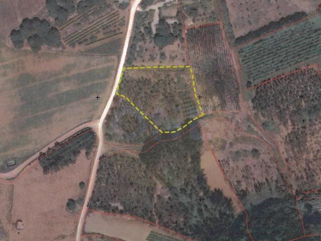 Terreno Rústico com 5.440 m² – Reguengo Grande | Casal do Vale Pai