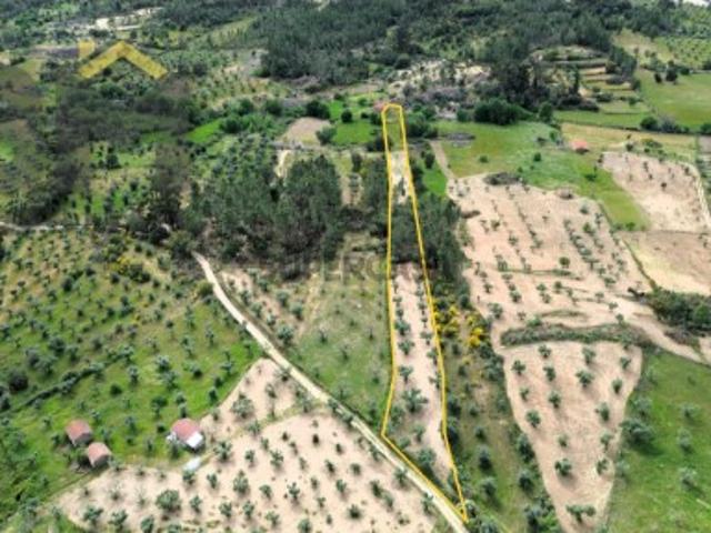 Terreno rústico com 5.480 m² à venda em Juncal do Campo!