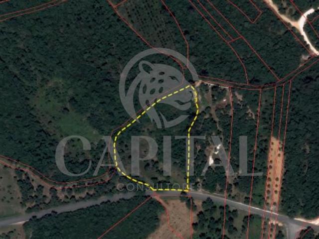 Terreno Rústico com 5.684 m² | Várzea – Juncal, Porto de Mós