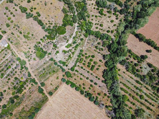 Terreno Rústico com 5.680 m² junto à Fonte de Paderne