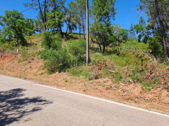 Terreno Rústico com 5.970 m2 em Vale Poças Electricidade e Fonte Água Alte