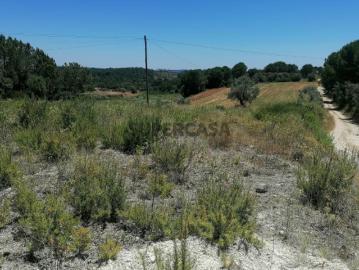 Terreno rústico com 5 hectares Cem Soldos, Tomar