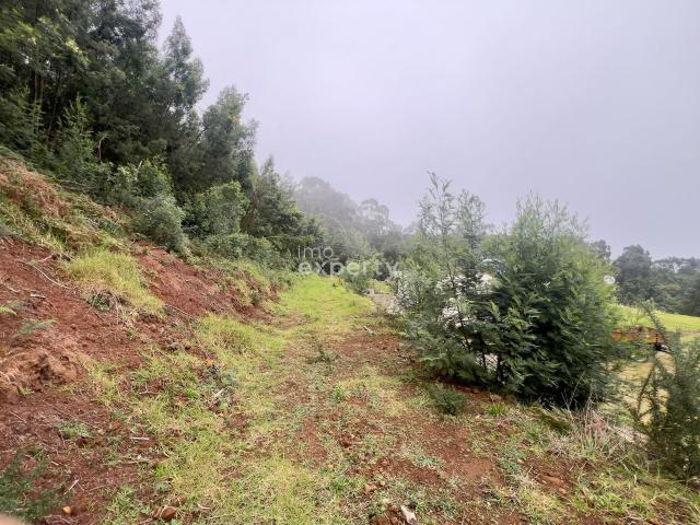 Terreno rústico com 65.600m² em Água de Pena, Madeira
