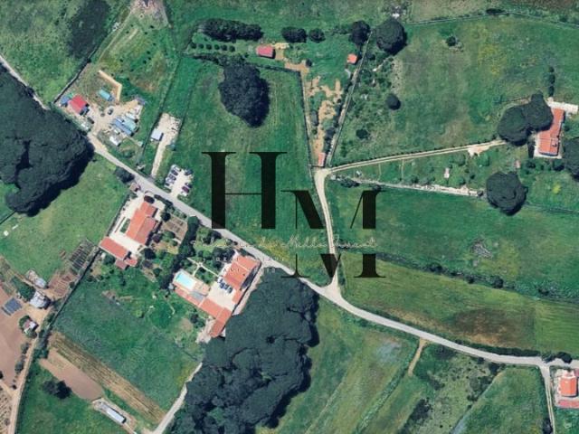 Terreno Rústico com 600 m² | Pedra Alta – São João das Lampas e Terrugem | Sintra