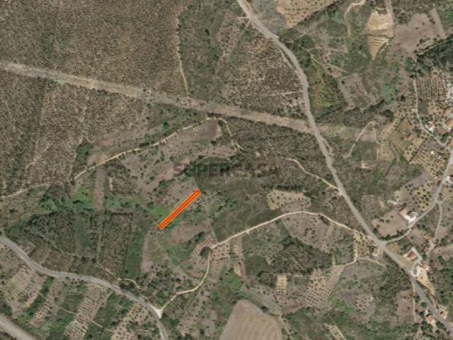 Terreno rústico com 600m2 Agroal, Tomar