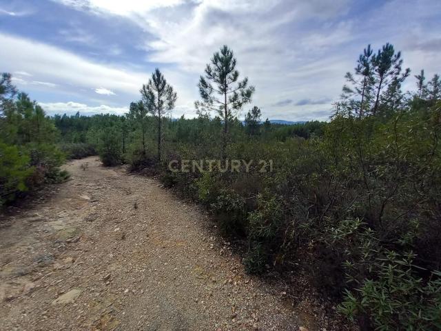 Terreno Rustico com 6120 m2 Vale da Pereira Santo André das Tojeiras