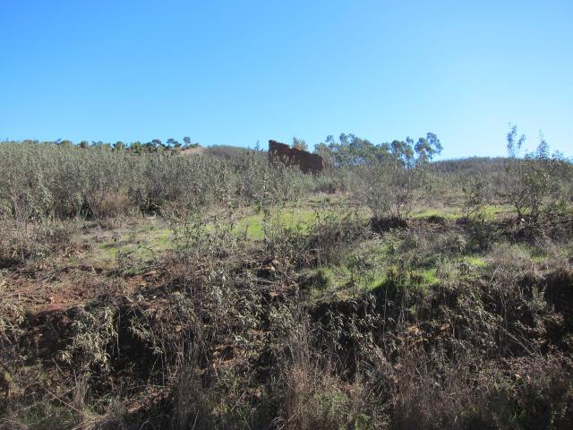 Terreno rústico com 61.217 m², situado na Mexilhoeira Grande, a apenas 5,9 km do Autódromo Internacional do Algarve