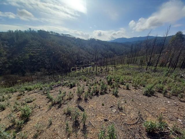 Terreno Rustico com 6220m2 Sobrainho da Ribeira Sarzedas
