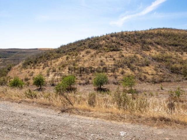 Terreno rústico com 6300 m2 em Tavira