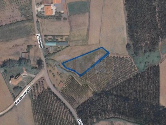 Terreno rústico com 6.200 m² em zona tranquila Lourinhã