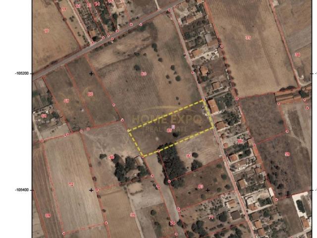 Oportunidade Estratégica: Terreno Rustico de 6.693 m² no Montijo com Potencial Construtivo
