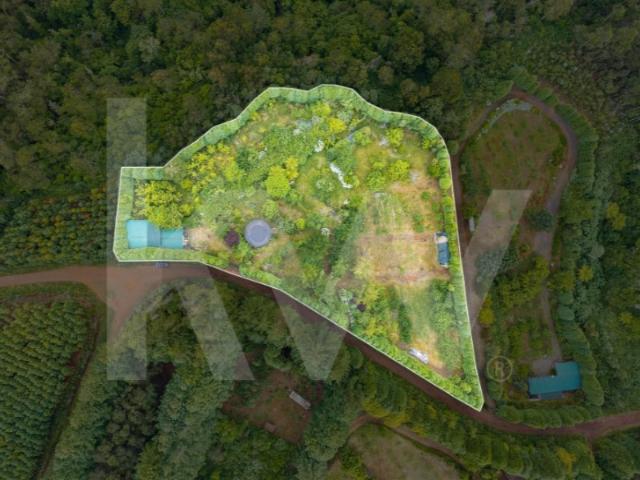 Terreno Rústico com 6.760 m² em São Jorge, Santana Madeira