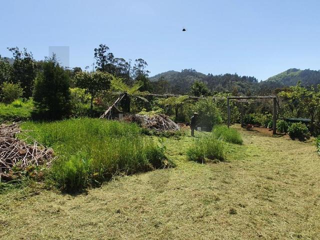 Terreno Rústico com 6.760 m² em São Jorge, Santana – Madeira