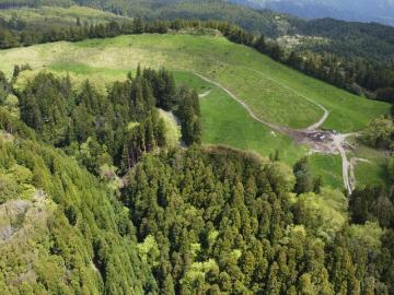 Terreno Rústico com 6,8 Hectares e Rendimento Imediato – Ponta Garça