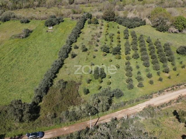 Terreno Rústico com 760m2 em Ribeira de Arade, Messines