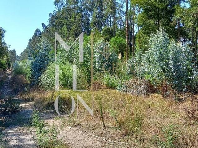 Terreno Rustico com 7800hectares de área total