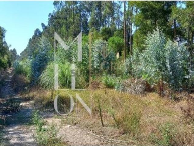 Terreno Rustico com 7800hectares de área total