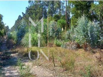 Terreno Rustico com 7800hectares de área total