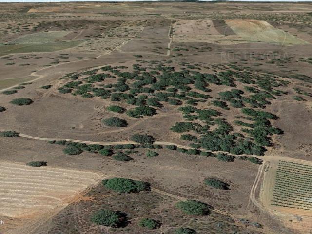 Terreno Rústico com 7,35 ha no Alandroal | Oportunidade para Agricultura e Investimento