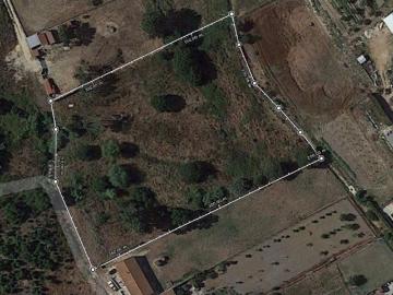 Terreno rústico com 7.600m2 Pontével 50.000€