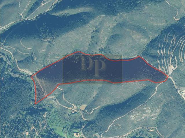 Terreno Rústico com 7,66 Hectares | Natureza, Água e Potencial para Turismo Sustentável | Marmelete, Monchique