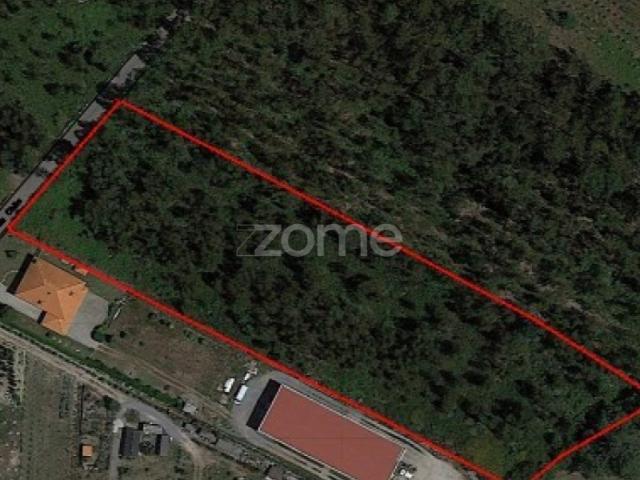 Terreno Rústico com 7.900 m2 em Monte Córdova Santo Tirso