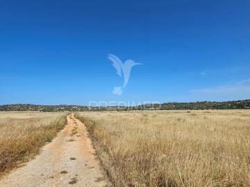 Terreno Rustico com 8980 m2 situado em Tunes
