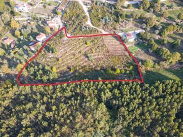 Terreno Rústico com 8.250 m² em Travanca, Amarante