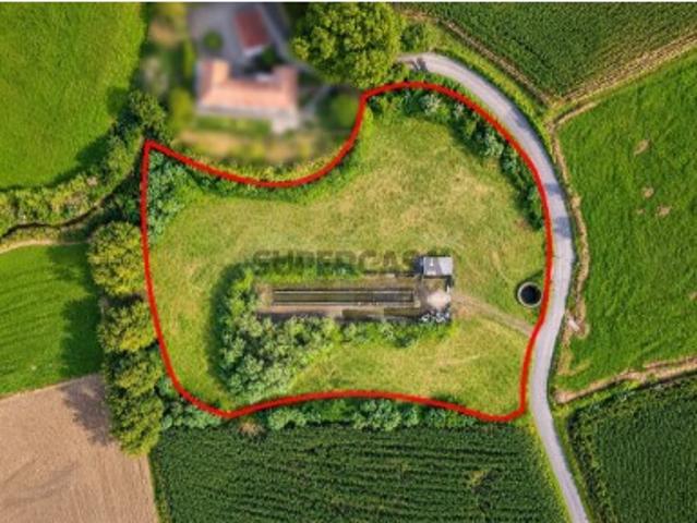 Terreno Rústico com 8.363 m² e Início de Construção Agropecuária Lomba do Pomar