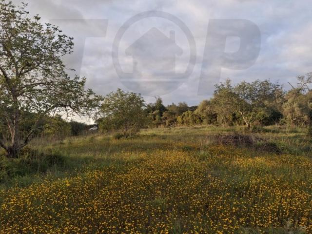 Terreno Rústico com 8.618 m² São Sebastião, Loulé 114.000 €