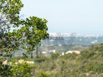 Terreno Rústico com 8 680m2 em Alcaria Cova, Estoi
