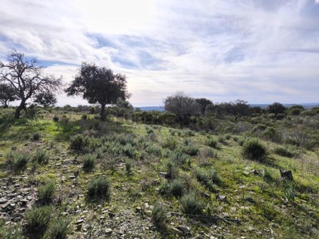 TERRENO RÚSTICO COM 8.880 M² PLANO PRÓXIMO À ELETRICIDADE ODELEITE CASTRO MARIM ALGARVE