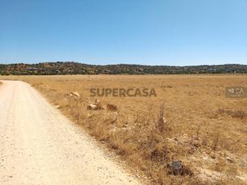 Várzeas do Poço da Figueira, Algoz e Tunes, Concelho de Silves, Distrito de Faro, Algarve